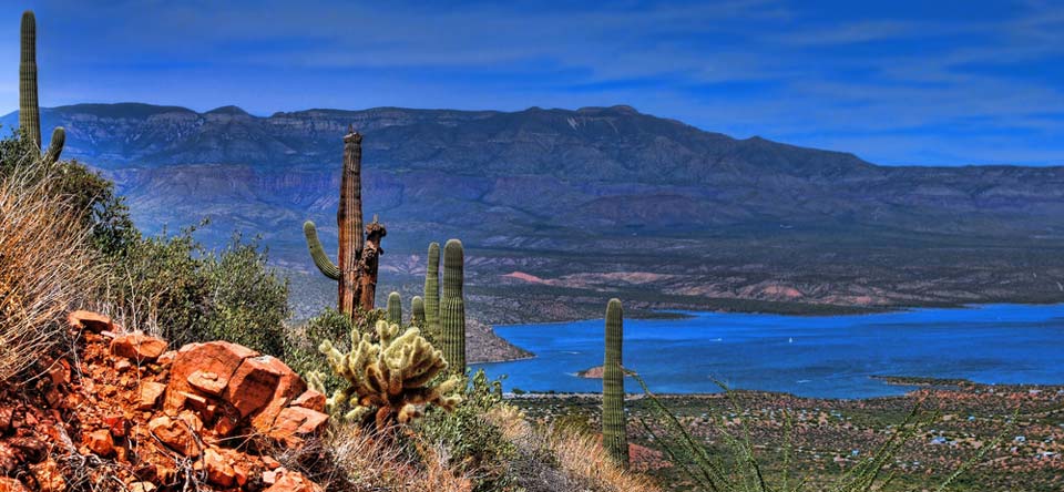 Roosevelt Lake