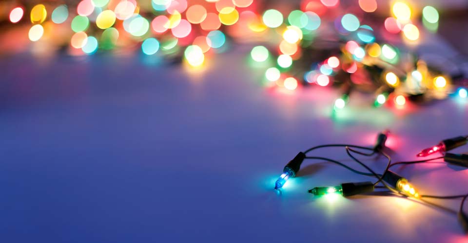 Christmas Lights & Holiday Celebrations 2012